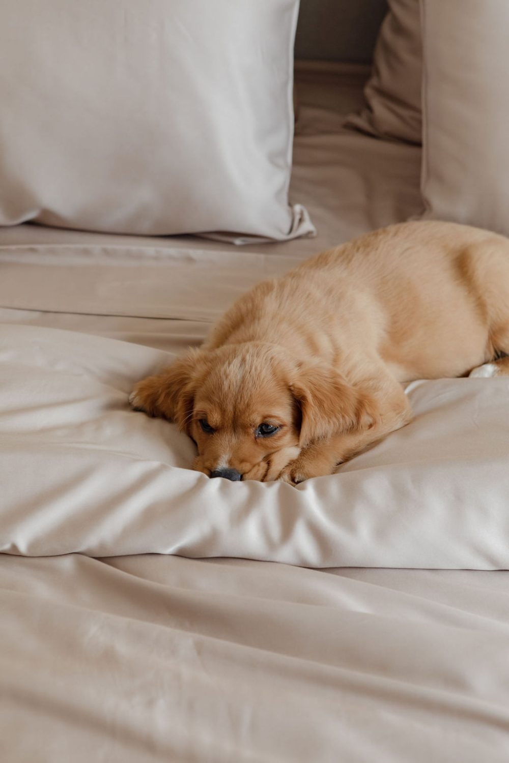 Bamboo Quilt Cover - Latte